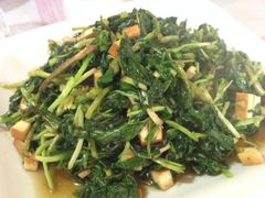 老字号南花桥羊肉馆-南花桥羊肉馆老字号(乌镇店)