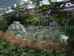 -南宫五洲植物乐园