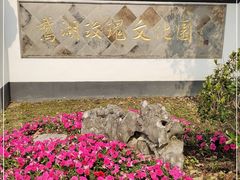 -鹅湖玫瑰文化园