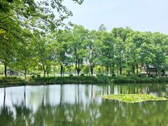 -金银湖国家城市湿地公园