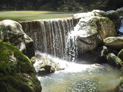 -牛背梁国家森林公园