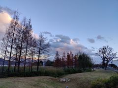 -才村湿地公园