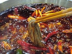 -大龙火锅(老店)