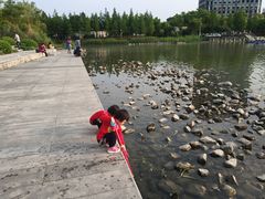 -南翔镇银翔湖公园