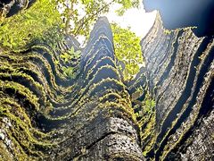 -梭布垭石林景区