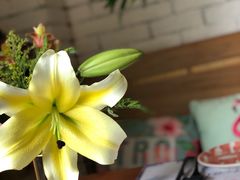 -Kitchen·Y洋厨房西餐厅(王府壹号店)