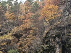 -茅兰沟国家森林公园