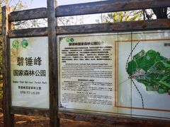-磬锤峰森林公园