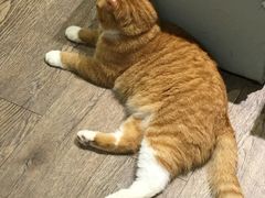 -小时光咖啡馆(开森度假森林店)