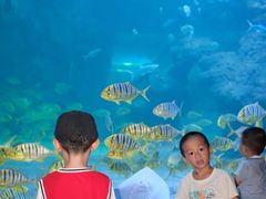 -左海海底世界