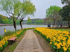-上海鲜花港