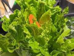 -青一色火锅(摩根店)