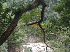 -太鲁阁公园