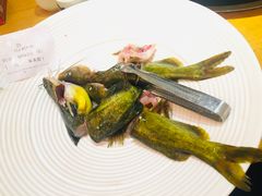 -新凯里酸汤鱼(飞山街店)
