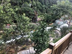 -五龙源极限漂流