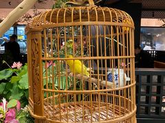-淮扬府·游园京梦(北京SKP店)