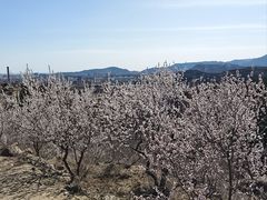 -白水寺森林公园
