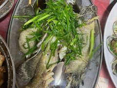 清蒸石斑鱼-黎记大排档(慈云路店)