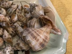 海螺-鸿达渔港