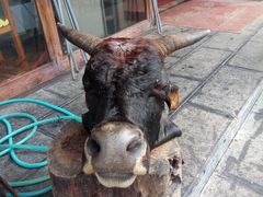 -佳荣老五生态牛肉馆