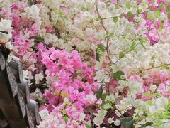 -深圳国际园林花卉博览园