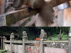 -青城山