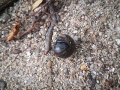 -海南热带雨林国家公园吊罗山景区