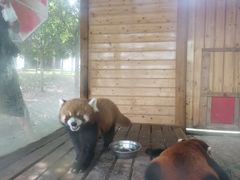 -武汉紫薇都市田园