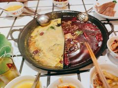 -朱光玉火锅馆(正弘城店)