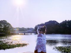 -新江湾城公园
