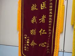 -中农国际动物医院24小时·猫科·骨科·急重症中心