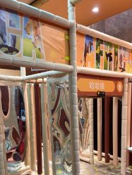 -卡通尼·Safari非洲探索乐园·生日会(金桥国际商业广场店)