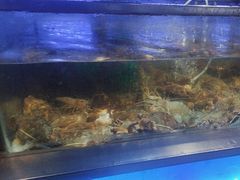 -V-ONE西雅图海鲜自助餐厅(仓山万达广场店)