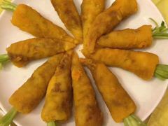 -丁老爷子苏香圆