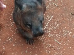 -费瑟代尔野生动物园