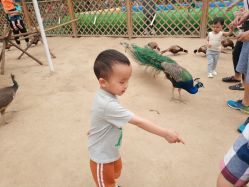 -萌宠亲子动物乐园(槐房万达店)