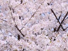 -方山风景区定林寺