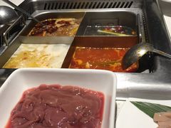 -海底捞火锅(高科广场店)