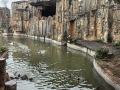 -海南热带野生动植物园