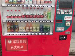 -祥源·阜阳生态乐园