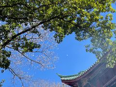 -盘龙寺
