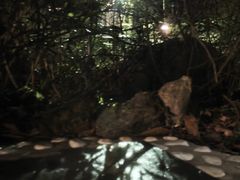 -明月山天沐温泉度假村