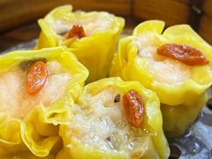 -添运来(茶园奥园广场店)