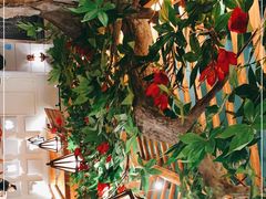 -老广酒楼(樱花店)