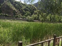 -白河湾生态旅游一条川