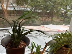 -畅和茶坊·曦瓜中国大红袍