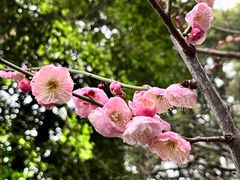-静安雕塑公园