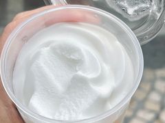 -洪馨椰子