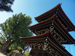 -医王山·飞騨国分寺