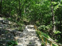 -北京上方山国家森林公园